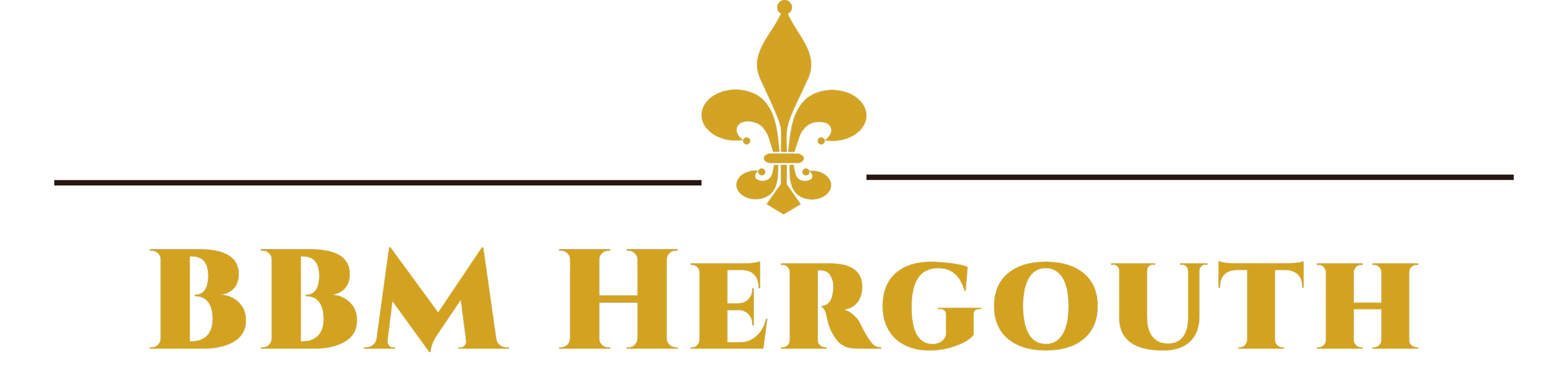 BBM Hergouth Logo